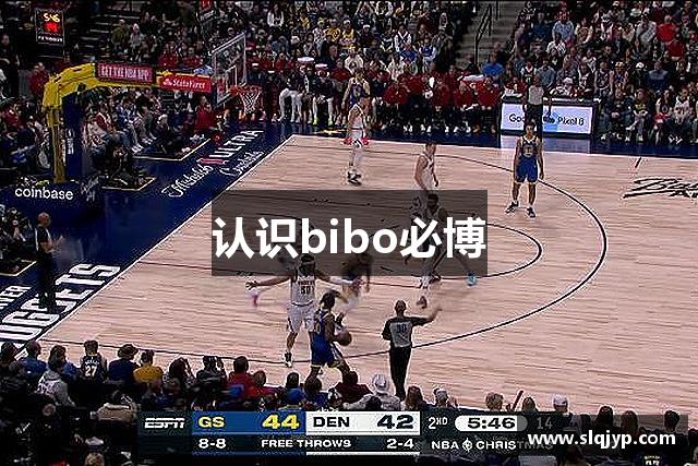 认识bibo必博